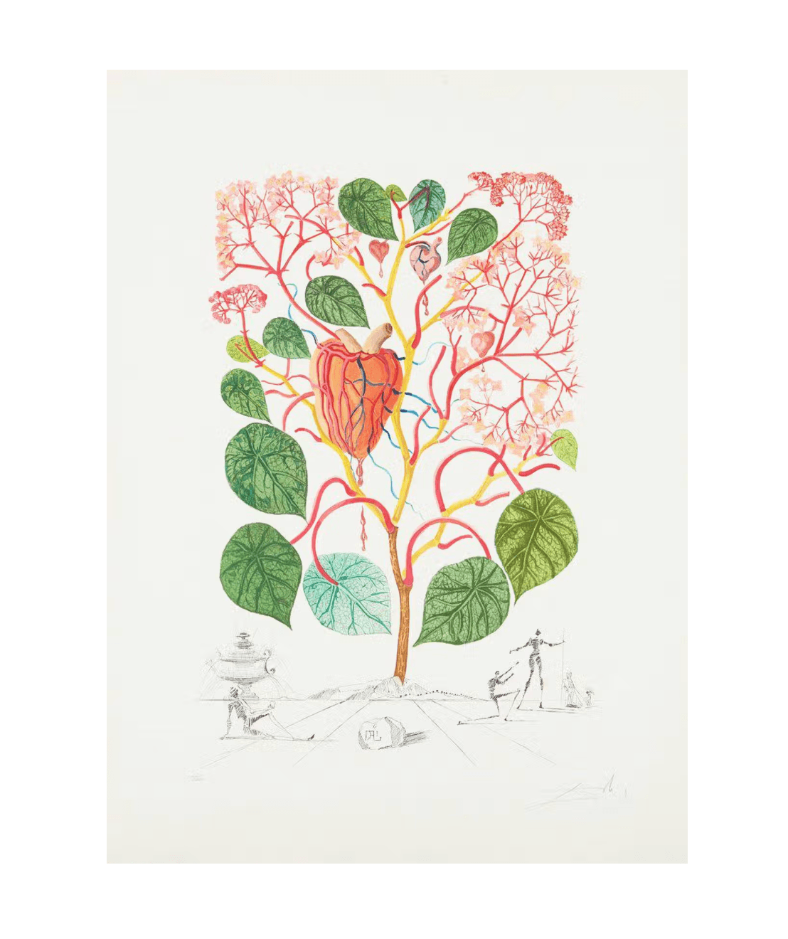 Salvador Dali - Begonia Anacardium Recordans (Flordali)