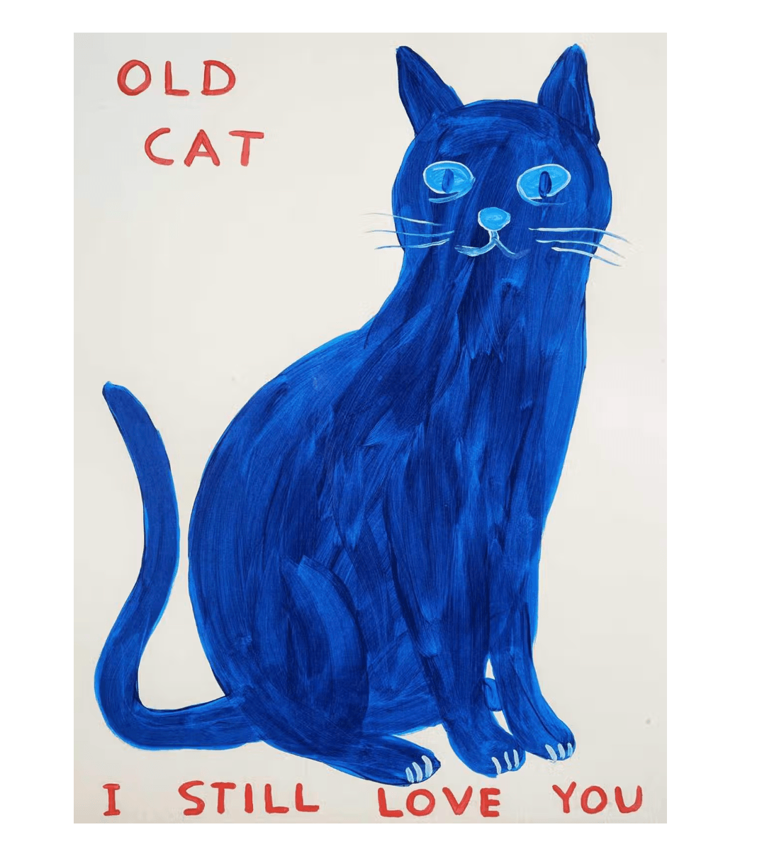 David Shrigley | Old Cat