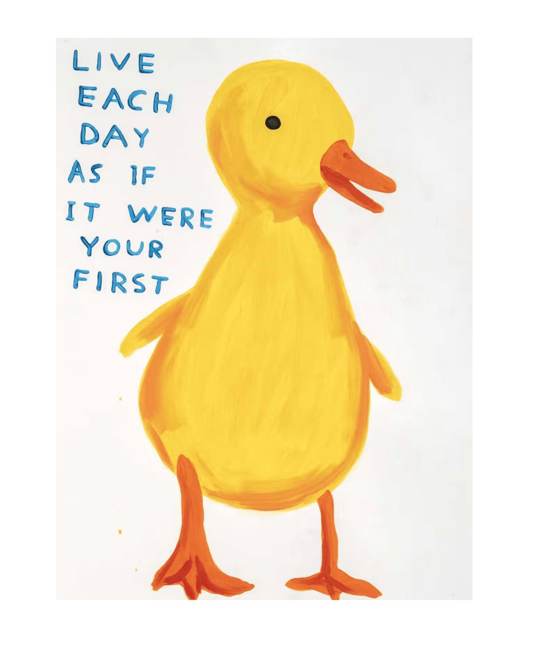 David Shrigley | Live Each Day As If It Were Your First