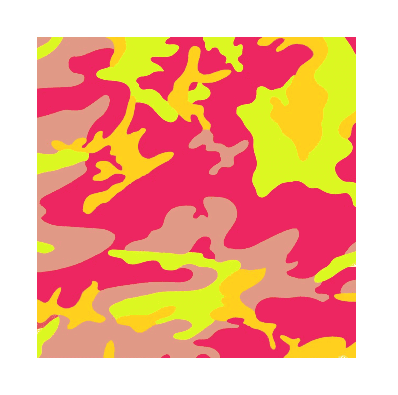 Andy Warhol | Camouflage (F. & S. II.409)