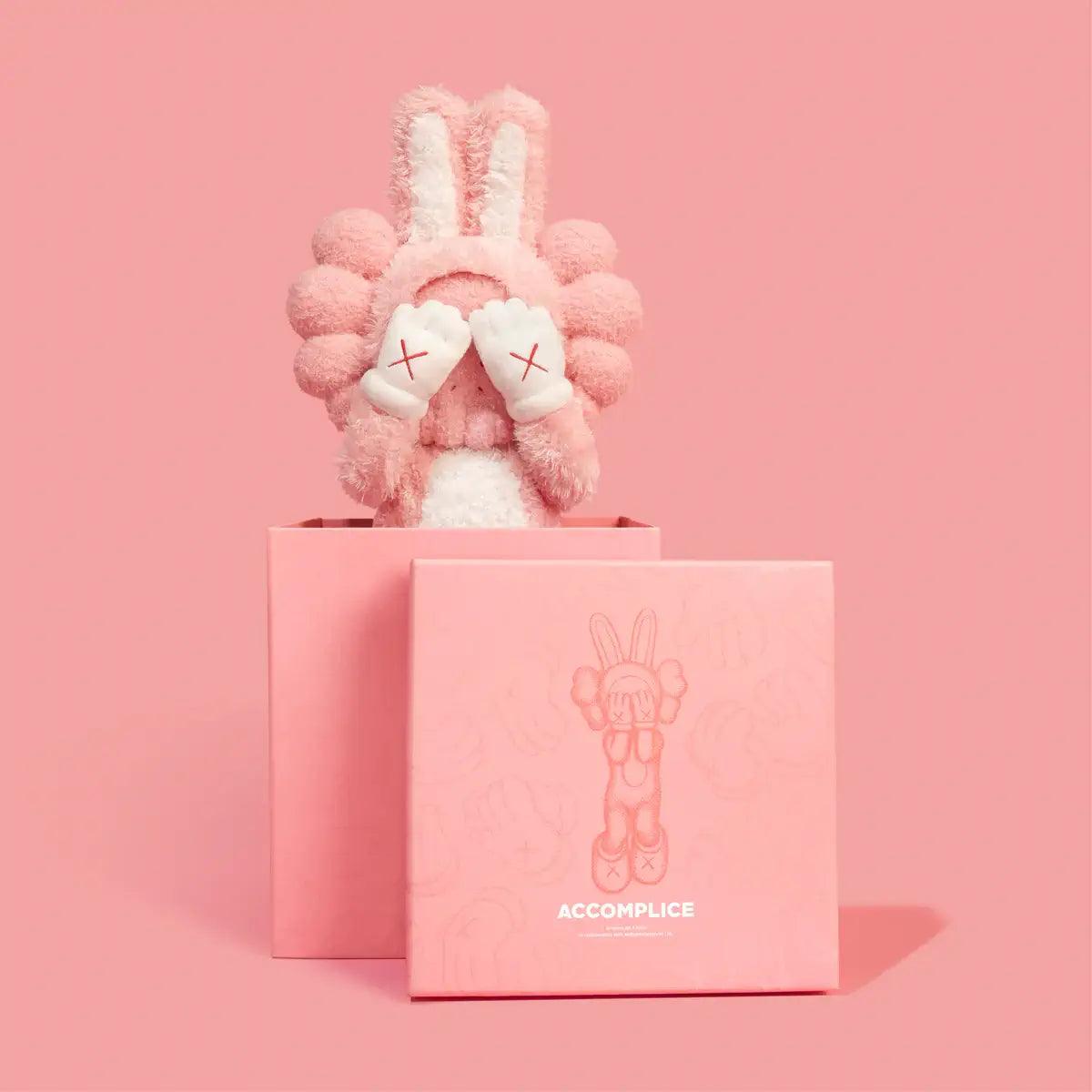 KAWS-ACCOMPLICE PLUSH-4